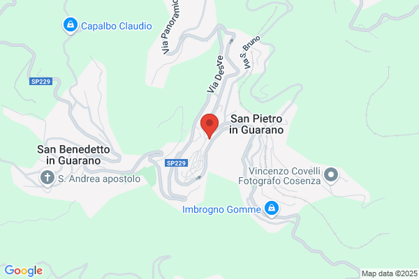 Panza ferdinando