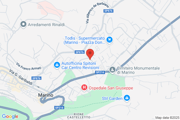 Tacconi rossella (Dr.)