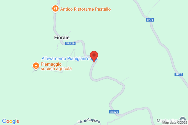 Allevamento Del Chianti Di Pianigiani Stefano
