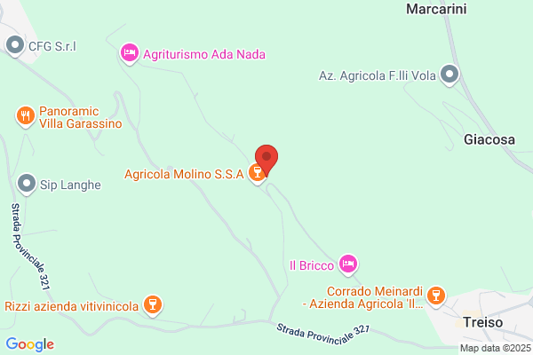 Agricola Molino
