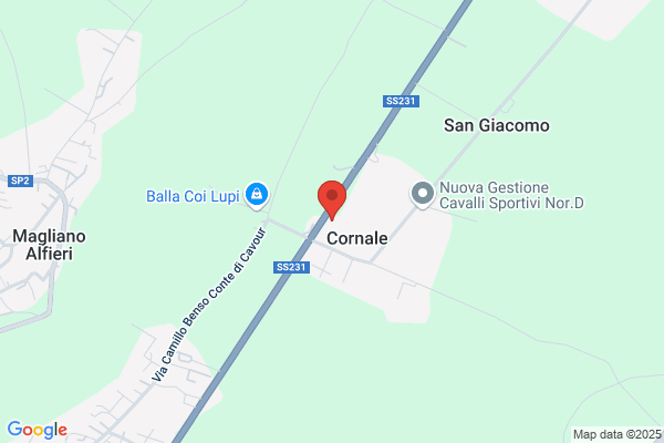 Cassinelli