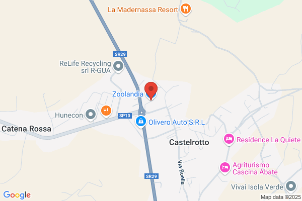 Zoolandia