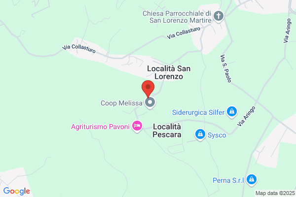 Cf Noleggio e Vendita  di Macchinari e Prodotti  per L'Edilizia
