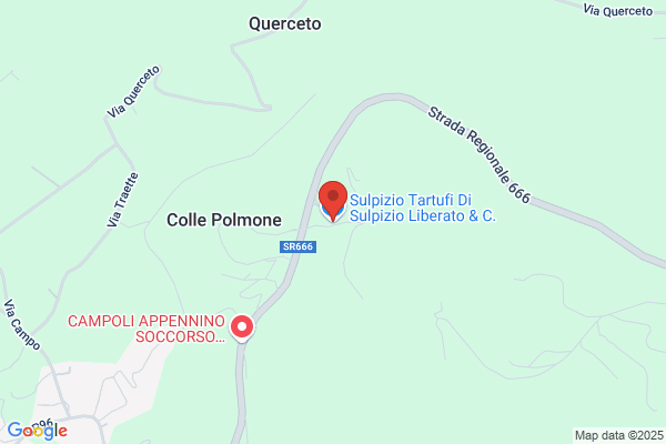 Sulpizio Tartufi Sas