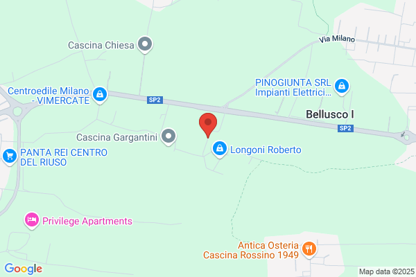 Longoni alessandro