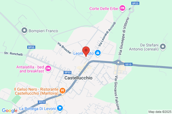 Ambulatorio Veterinario Associato Fermi C.. Bonazzi L.