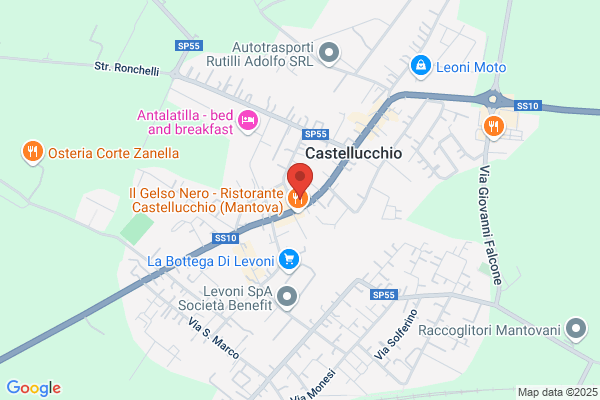 Zanichelli pietro