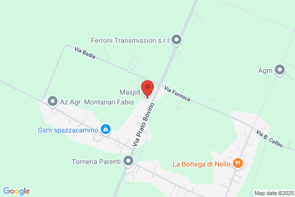 Musini federico