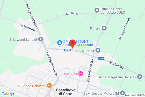 Fontanesi Silvano