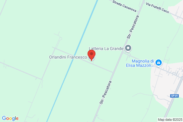 Orlandini francesco
