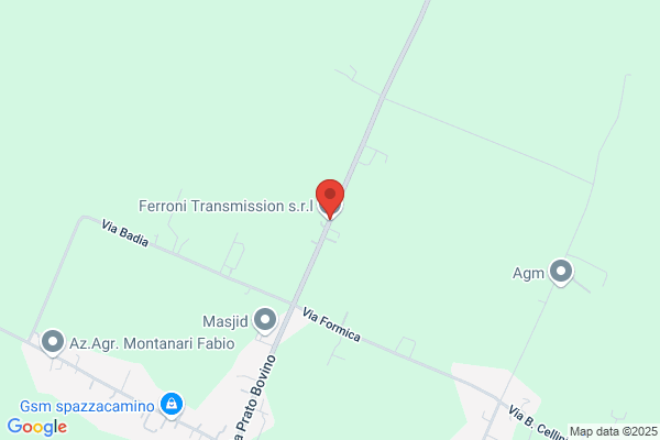 Ferroni Transmission S.R.L.