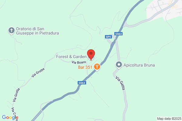 Forest & Garden