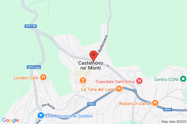 Immobiliare Centro Commerciale Felina (S.R.L.)