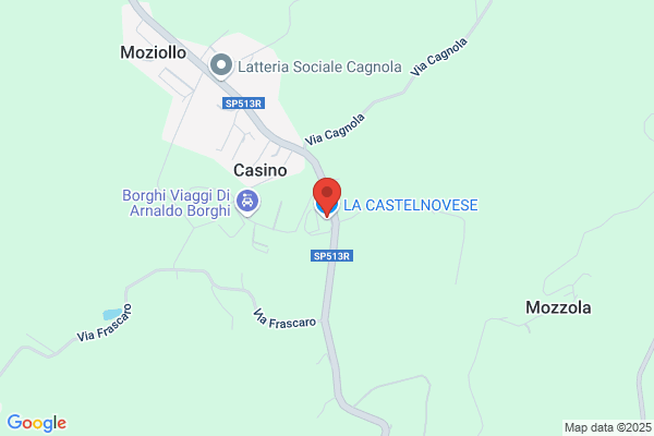 La Castelnovese Trasporti S.N.C. Di Cavalletti Mauro e C.