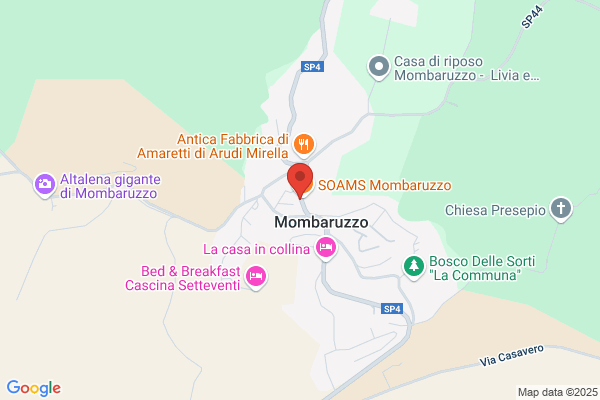 Moriondo virginio