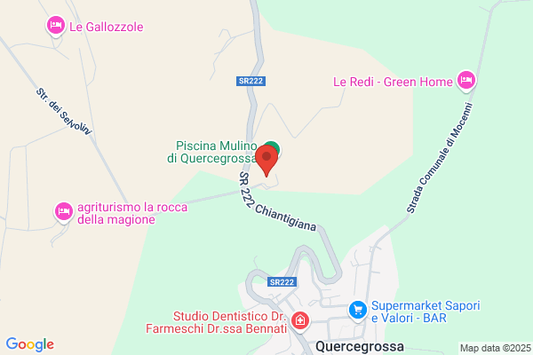 Ristorante Pizzeria Il Mulino