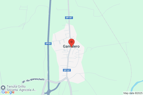 Gamalero Dario