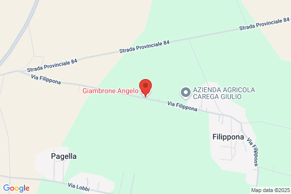 Giambrone Gaetano (Dr.)