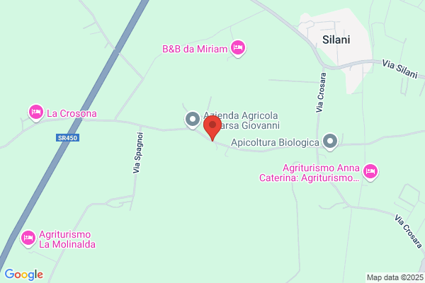 Zattarin armando
