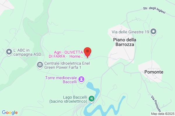 Oliveta