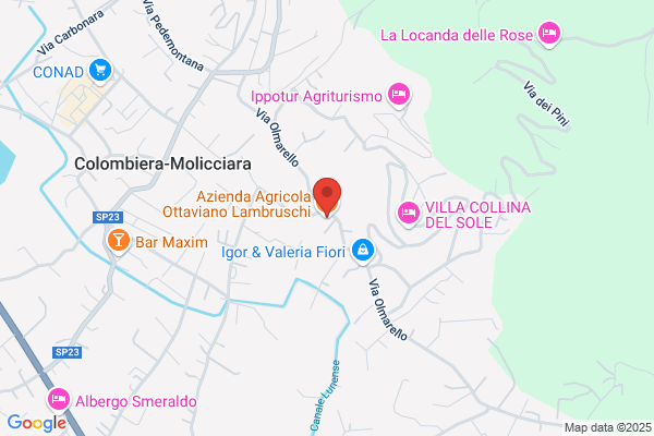 Azienda Agricola Ottaviano Lambruschi