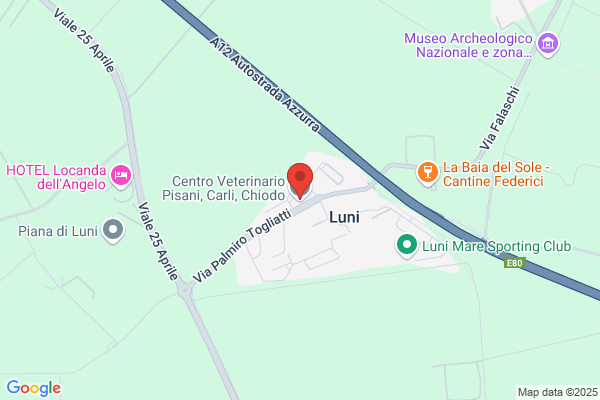 Centro Veterinario Dei Dott. Pisani Carli Chiodo
