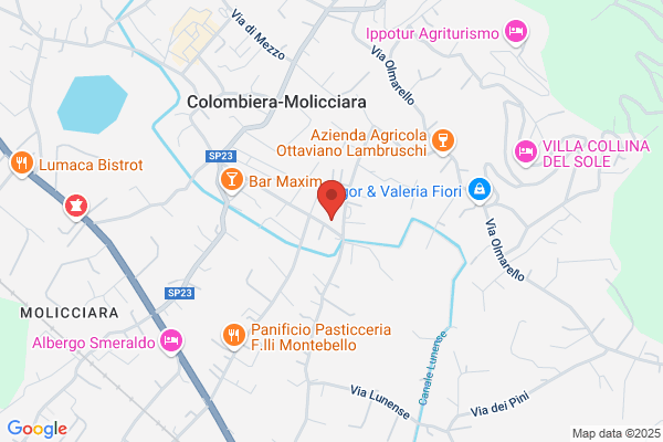 Scuole Elementari