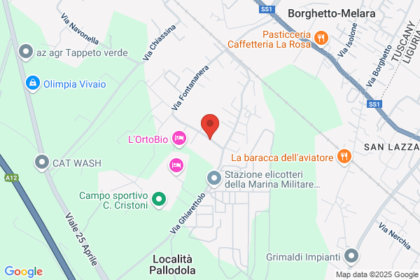 Tognoni doranda