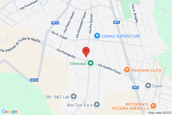 Roncaglia Amerio E C.