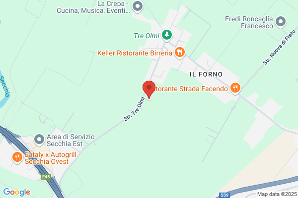 Messori mario