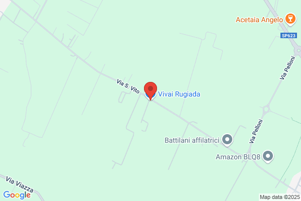 Vivai Rugiada
