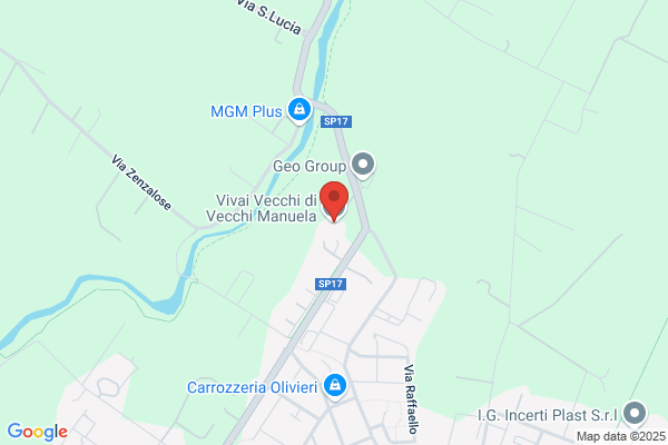 Vivai Vecchi
