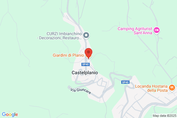 Il Petalo