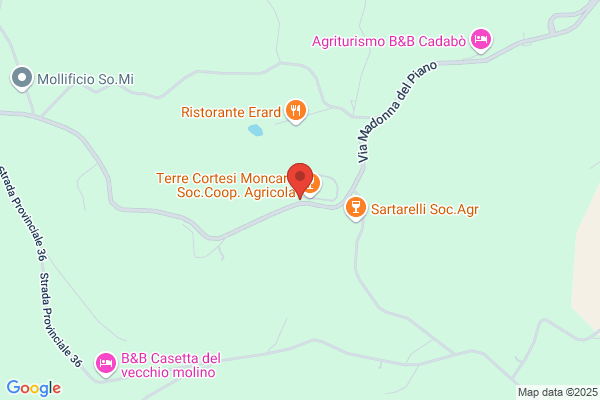Terre Cortesi Moncaro Soc.Coop. Agricola