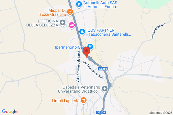 Volontari Shop e Non Solo