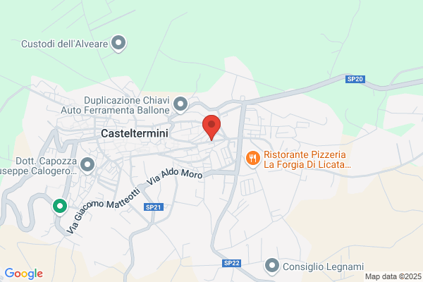 Varsalona carmelo (Dr.)