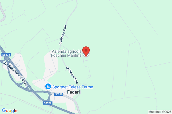 Foschini Luca