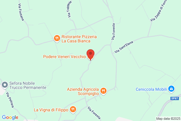 La Vinicola Del Vecchio