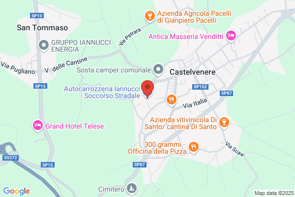 Ricci Pasquale   Figlio Snc