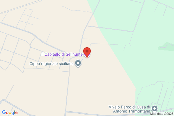 Il Capitello Di Giuseppe Dagostino E C. s.N.C.