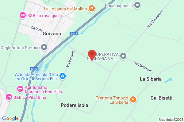 Mesini ernesto
