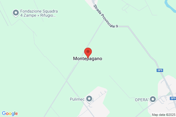 Fiocchi Franco