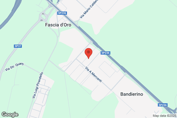 Mollificio Rizzinelli Srl