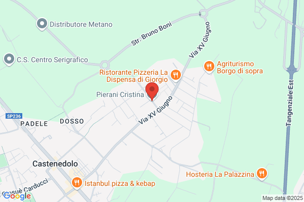 Pierani cristina