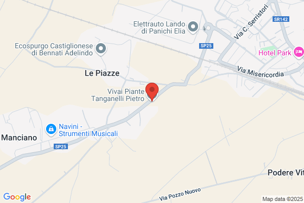 Tanganelli pietro
