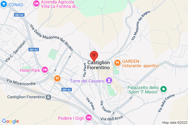 Grifoni Gino (Geom.)
