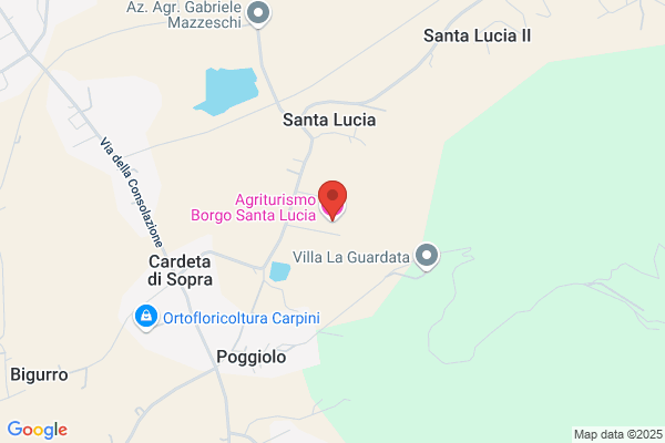 Lorenzini angiolo