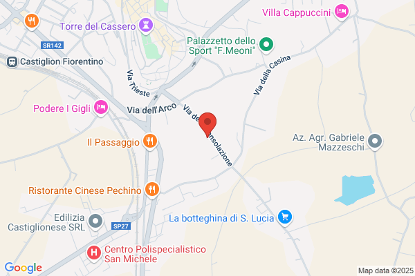 Napieri gino
