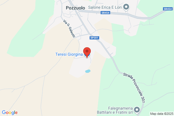 Eredi Di Teresio Ghizzoni S.A.S. Di Pietro Ghizzoni & c.