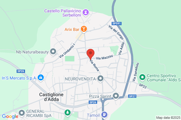 Tagliabue michele